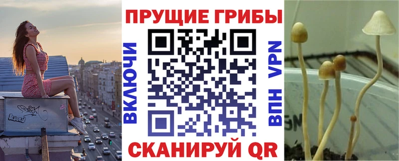 магазин продажи   Бикин  Галлюциногенные грибы Magic Shrooms 